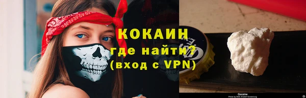 ПСИЛОЦИБИНОВЫЕ ГРИБЫ Бикин
