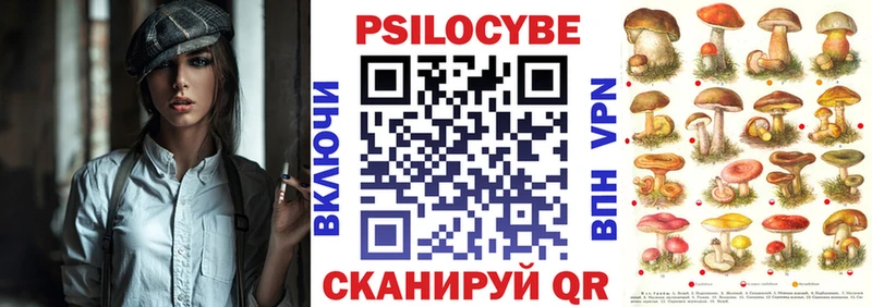Псилоцибиновые грибы Psilocybine cubensis  Хилок 